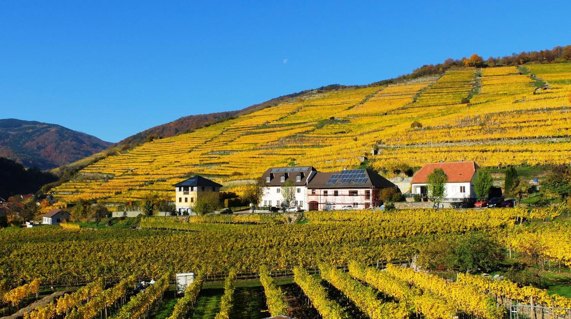 Weingut Donabaum "In Der Spitz" Apartment Spitz an der Donau Room photo