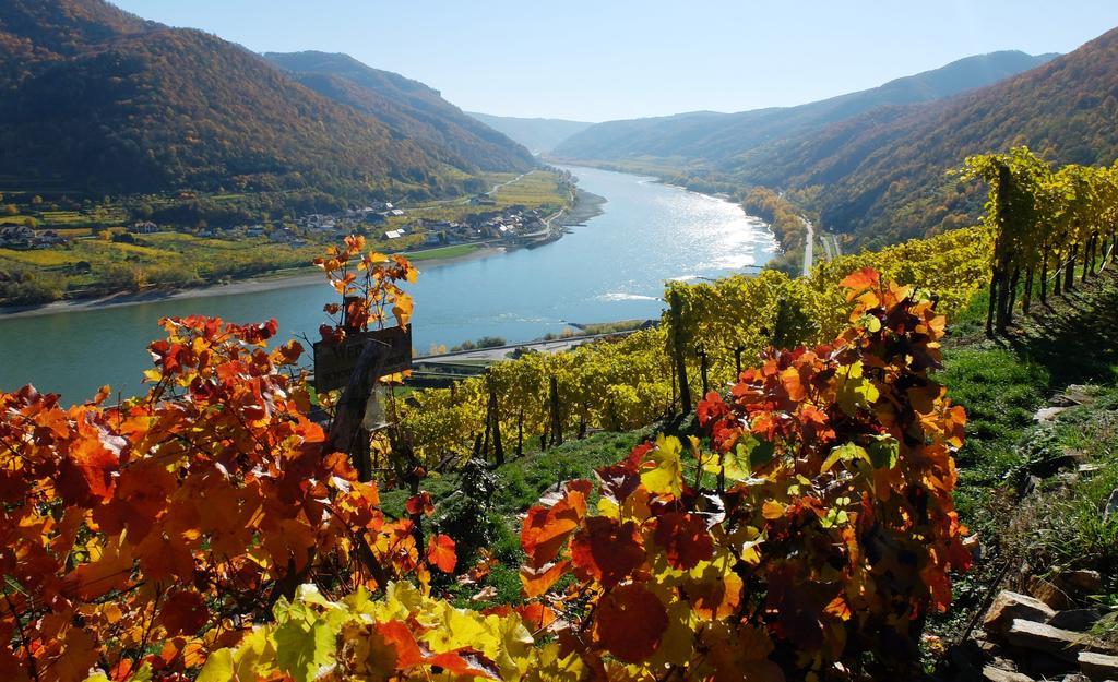 Weingut Donabaum "In Der Spitz" Apartment Spitz an der Donau Exterior photo