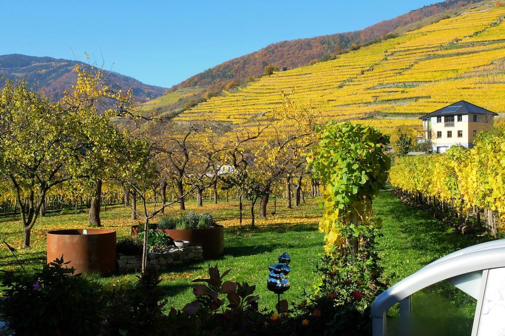 Weingut Donabaum "In Der Spitz" Apartment Spitz an der Donau Exterior photo