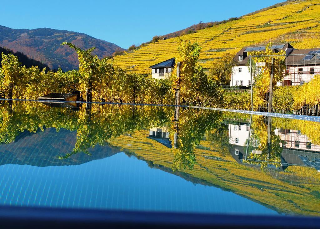 Weingut Donabaum "In Der Spitz" Apartment Spitz an der Donau Exterior photo
