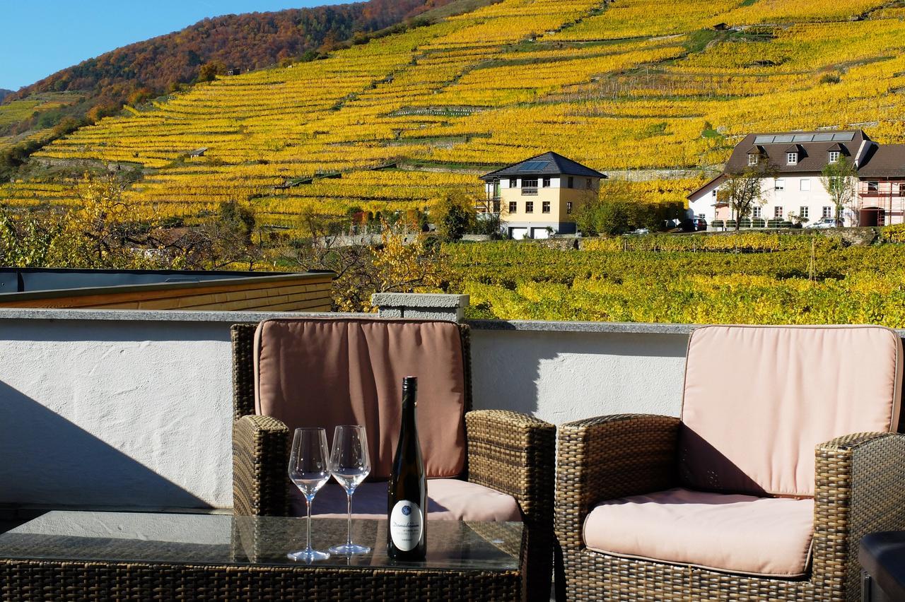 Weingut Donabaum "In Der Spitz" Apartment Spitz an der Donau Exterior photo